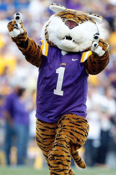 Why is lsu mascot named mike